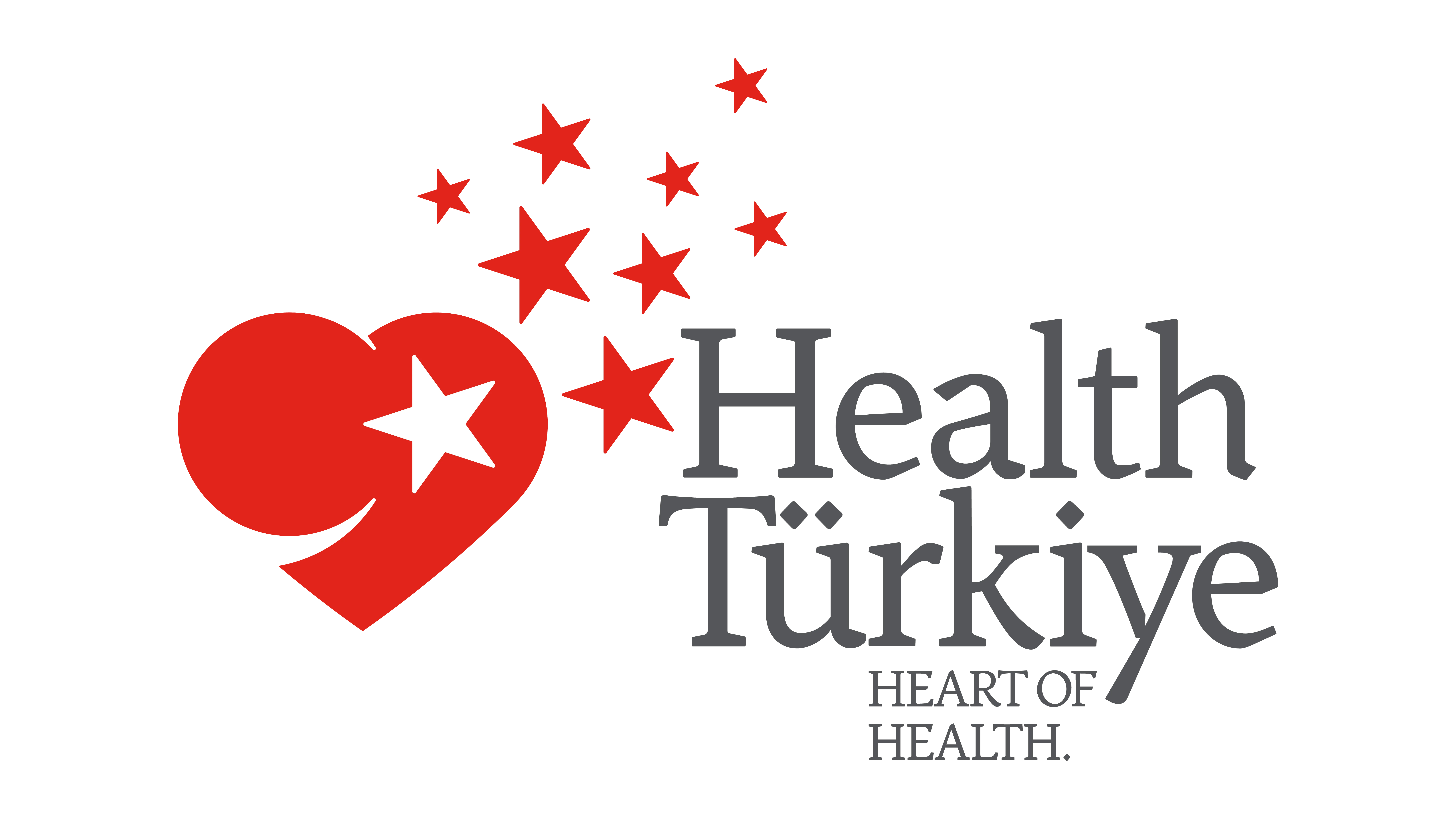 Check Turkiye Logo